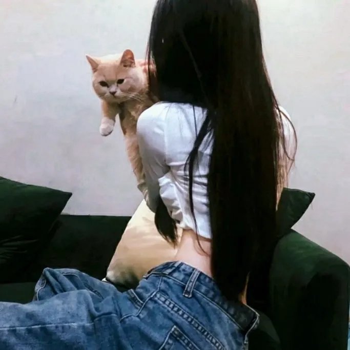 小太阳达芬妮