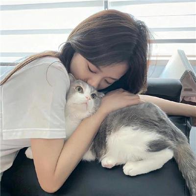站立的动物故事